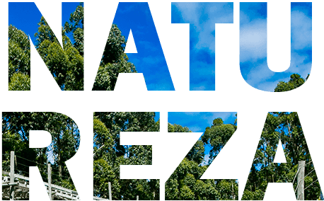 Surpreenda-se com o Inverno Acqua Lokos