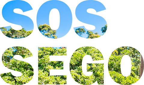 Descanse e encante-se Hotel aberto o ano todo