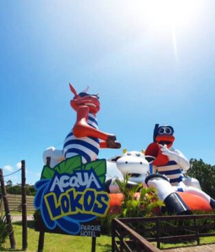 Fique por dentro de nossos produtos e pacotes!