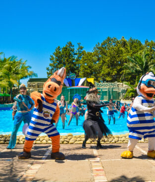 Acqua Lokos lança vídeo em comemoração aos 25 anos de história