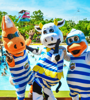 Show de Hidroaeróbica