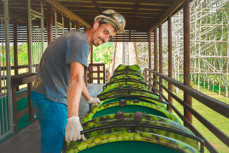 Bruno Agostinho Timmes – QUEM FAZ