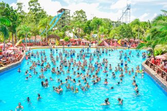 Acqua Lokos abrirá processo seletivo para 100 vagas de emprego