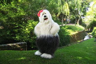 Priscila Show terá única apresentação no Acqua Lokos Parque Hotel