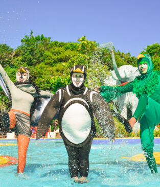 Verão Acqua Lokos: Vem curtir a Festa na Piscina