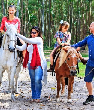 Temporada Inverno 2020 traz cerca de 40 atrações para toda família