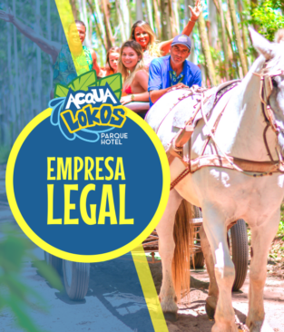 Conforto e bem-estar dos animais