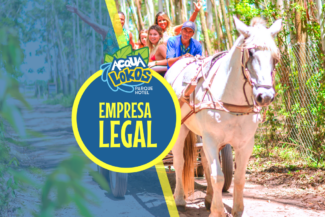 Conforto e bem-estar dos animais