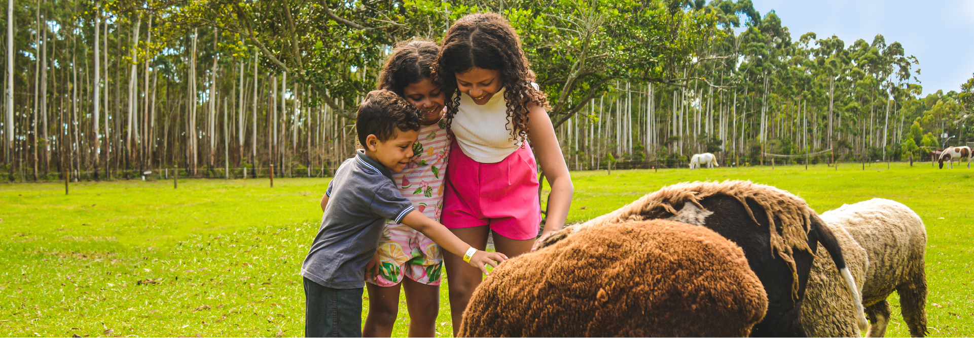 Feriadão Corpus Christi