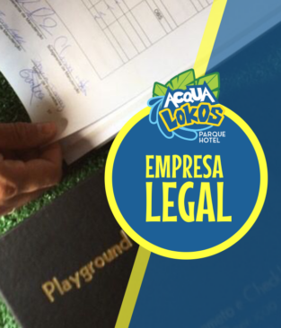 Todos os brinquedos passam por checagem diária