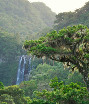 Litoral Norte em qualquer estação do ano SIM! – PARTE 2