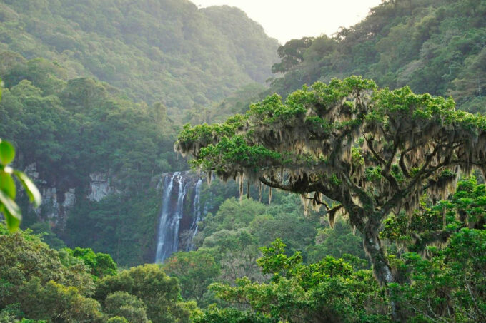 Litoral Norte em qualquer estação do ano SIM! – PARTE 2