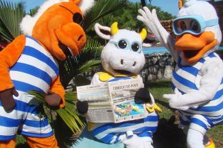 Exclusivo para assinante do Correio do Povo