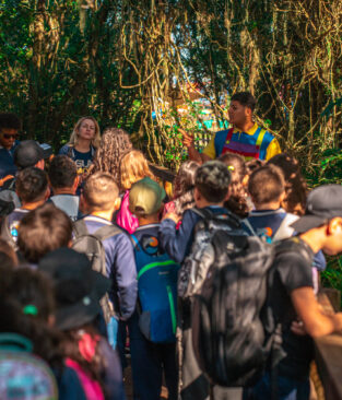 Milhares de alunos já vivenciaram o Dia Letivo