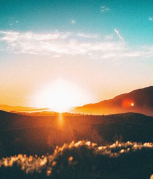 Como está sua relação com a natureza?