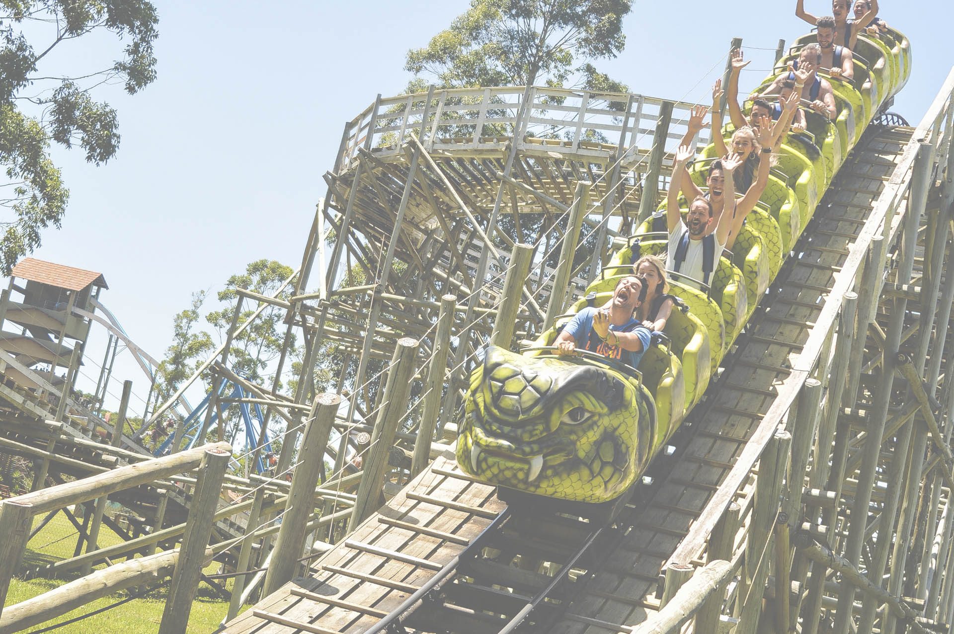 Imagem principal de Acqua Lokos