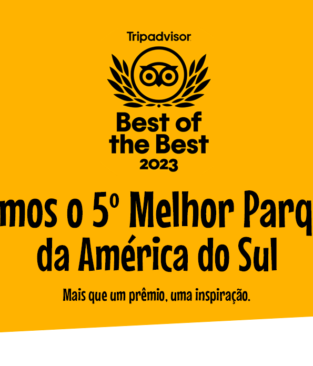 Acqua Lokos é o 5° melhor parque da América do Sul