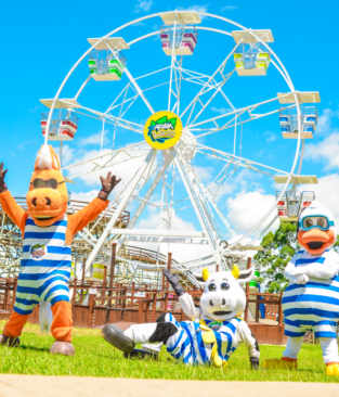 Venha conhecer a nossa nova Roda-Gigante!