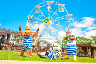 Venha conhecer a nossa nova Roda-Gigante!