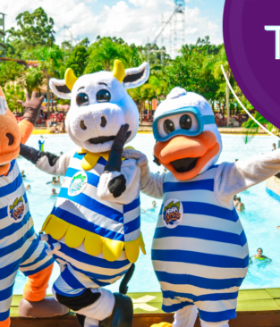 Estamos no ranking dos 10 melhores parques aquáticos do Brasil