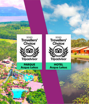 Acqua Lokos Parque Hotel é reconhecido com dois selos Travellers’ Choice Award do TripAdvisor em 2020