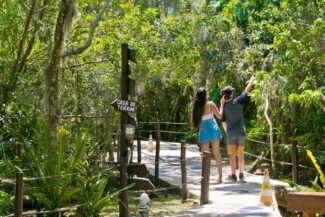 Acqua Lokos e a conservação da Mata Atlântica