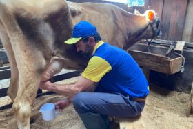 Se conecte com a simplicidade do campo