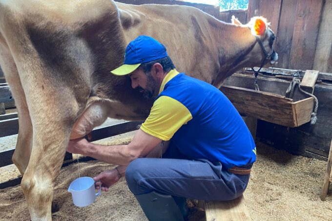 Se conecte com a simplicidade do campo